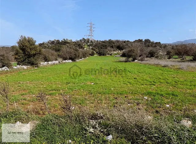 Hasan Göktepe Den Çam Köyde Firsat Arazi 5