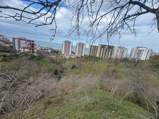 İnanç Emlaktan Giresun Teyyaredüzünde Kat Karşılığı İmarlı Arsa 3