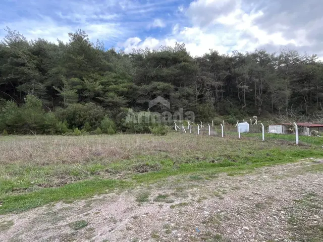 Kuşadası Yeniköy'de Doğa'nın Kalbinde 4 Dönüm Tek Tapu Tarla 3