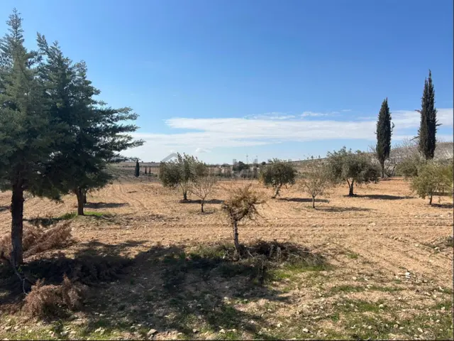 Tavze Gayrimenkuldan Şanlıurfa Aşağı İşkarada Satılık Meyve Bahçesi 3