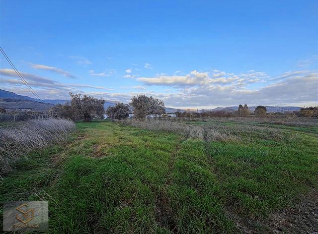 Menemen Görece Köyünde 4860 M² Satılık Tarla 5