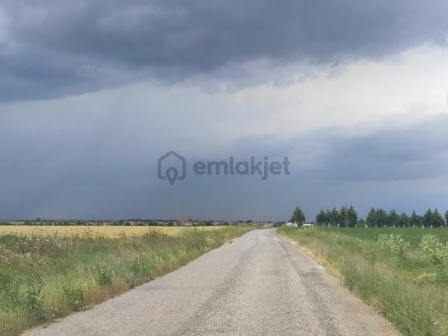 Lüleburgaz'da Mustakil Tapu 5.500 M2 Satılık Tarla 3