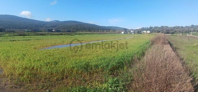 Milas Meşelik’te Çiftlik Evi Kurma İmkânı Sunan 4338 M2 Yatırım Arazisi 4