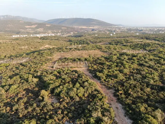 Didim Akyeniköy'de Milas Karayoluna Yakın Satılık Villa Arsası 3