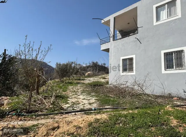 Silifke Kocapınarda Doğa İçinde Müstakil Ev & 3.000 M² Arsa 3
