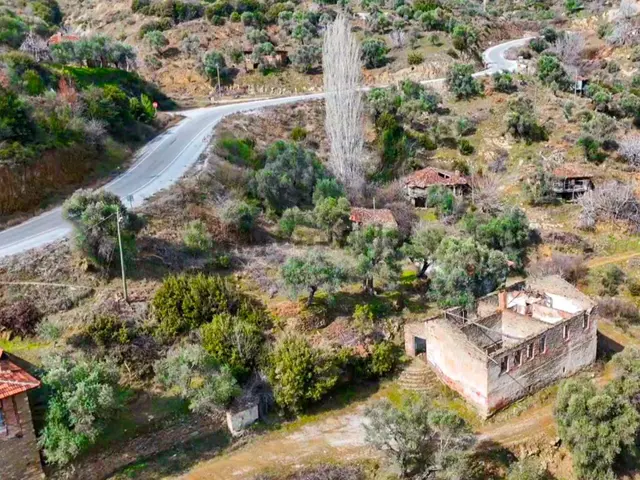 Ödemiş Lübbey Köyünde Satılık Zeytinlik 4