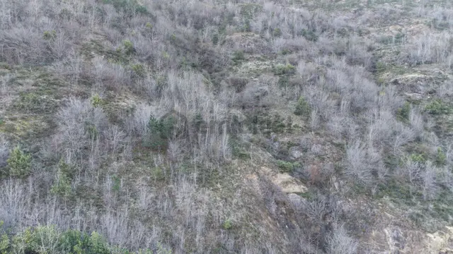 Trabzon Maçka Öğütlü Mahallesi 3383 M2 Satılık Arsa 1