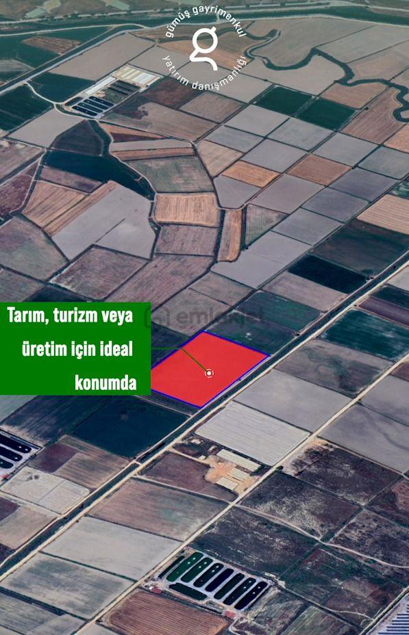 Milas Avşar Köy'ünde 27 Dönüm Tarla 3