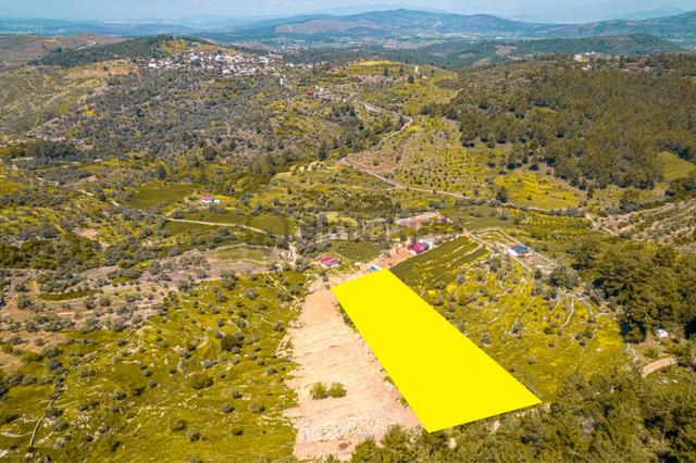 Bodrum Gökpınar Da 6420 M2 Köy İmarlı Tarla 5