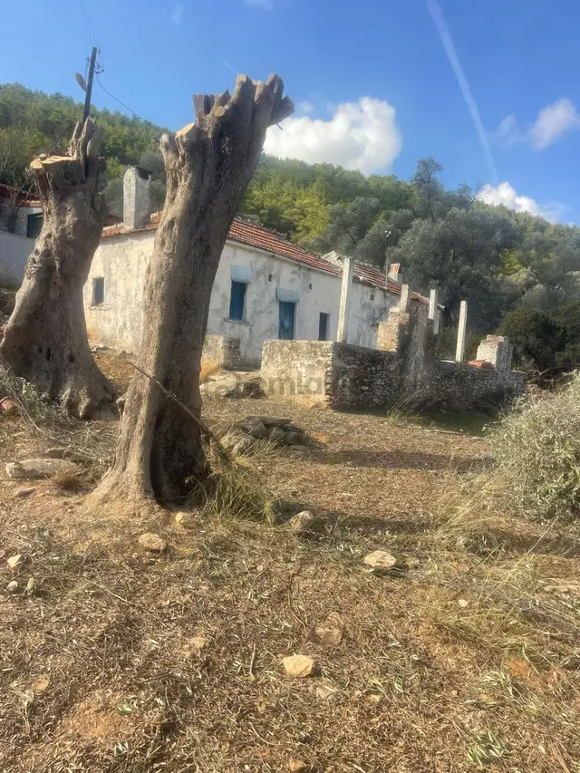 Bodrum Kızılağaç İçinde Kargir Ev Ve Avlusu Mevcut 786 M2 Arsa 3