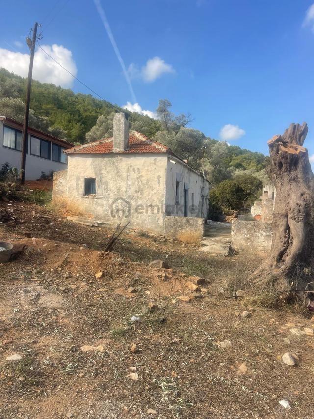 Bodrum Kızılağaç İçinde Kargir Ev Ve Avlusu Mevcut 786 M2 Arsa 5