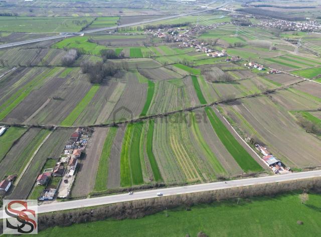 Akyazı Osmanbey Mahallesinde 6.020 M² Yatırımlık Tarla 4