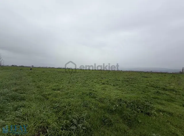 Bergama Merkeze Yakın Tarla İslamsaray Mah.