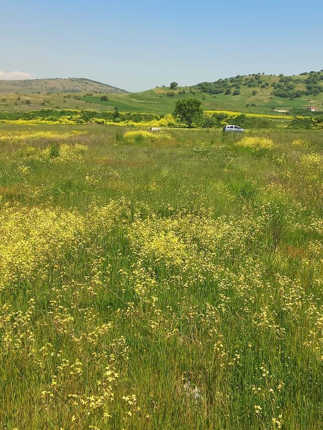 C21 Loca Gökçeyazı'da Hobi Bahçesine Uygun Süper Tarla 3