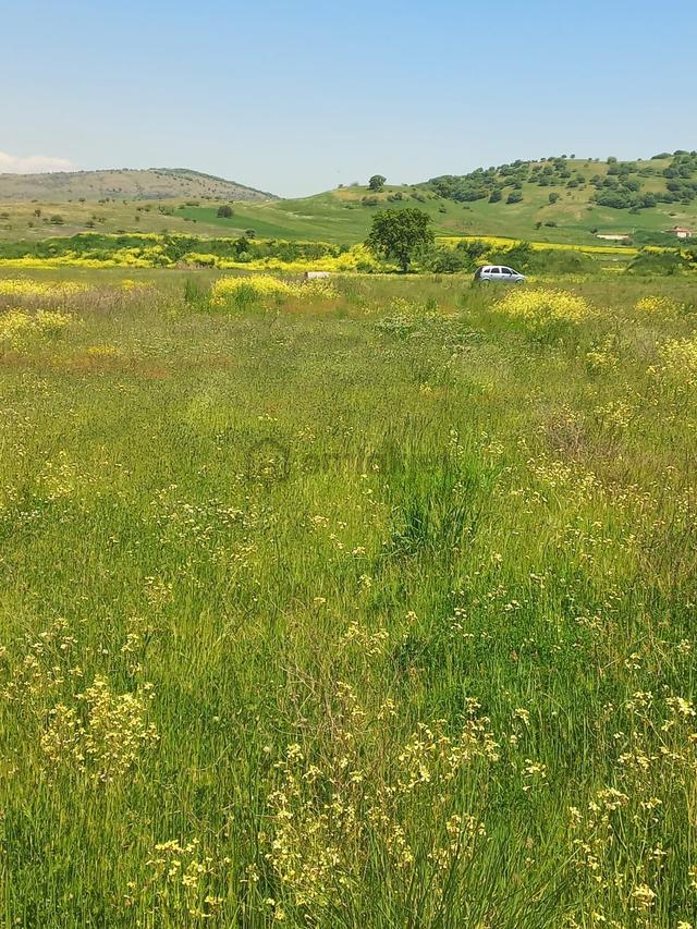 C21 Loca Gökçeyazı'da Hobi Bahçesine Uygun Süper Tarla 4