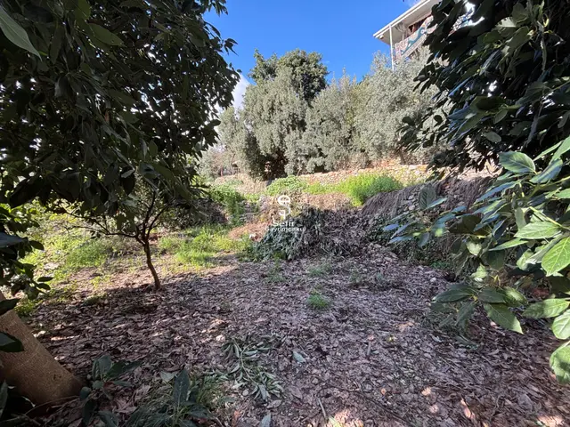 Alanya Kızılcaşehir'de Satılık 215 Mt2 Tarla 3
