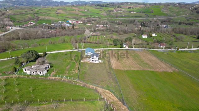 Uzmanlar'dan Karamürsel Valideköprü Satılık 4537 M2 Çiftlik 3