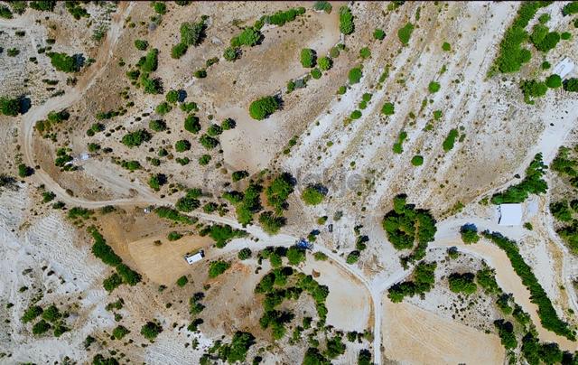 Fethiye'ye 1 Saat Mesafede Panoramik Manzaralı 1.293 M2 Tarla 3
