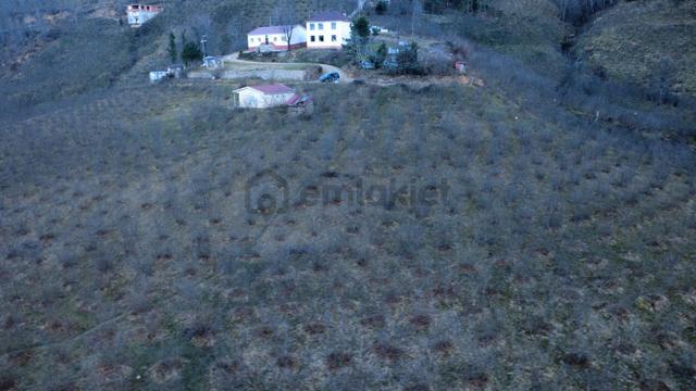 Ordu Gölköy'de Satılık Arazi 3