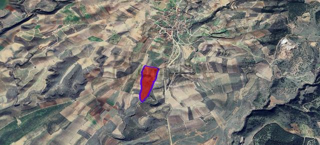 Gülpınar'da 30 Dönümü Zeytinlik 79.093 M2 Satılık Tarla 4