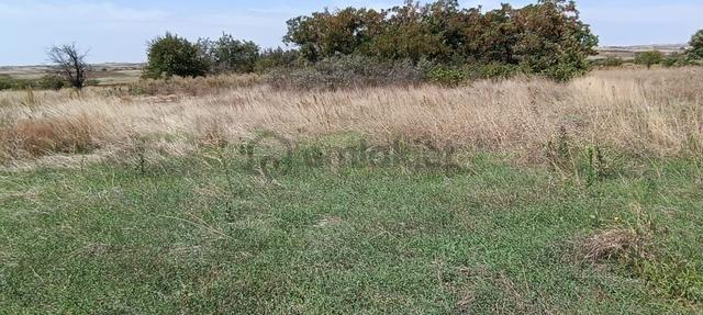 Hobi Bahçesine Uygun 2 Cephe Resmi Yollu 403m2 Köy E Yakın 5