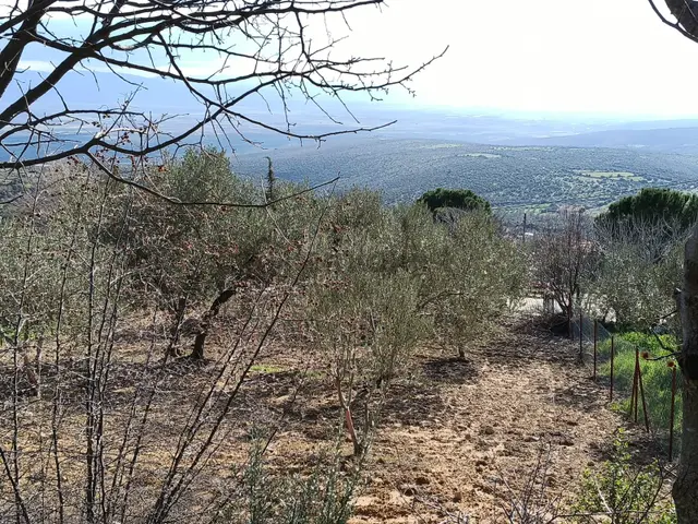 Çamoba Köyünde %50 2 Kat İmarlı 734 M2 Arsa 3