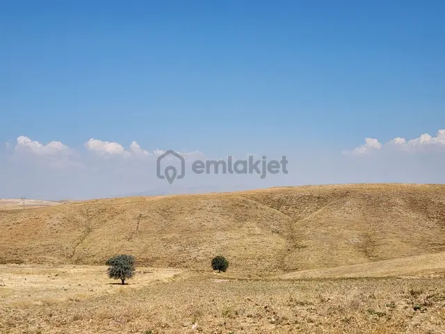 Afyonkarahisar Merkez Kızıldağ Mah. 9200 M2 Tarla 310 Bin Tl 3