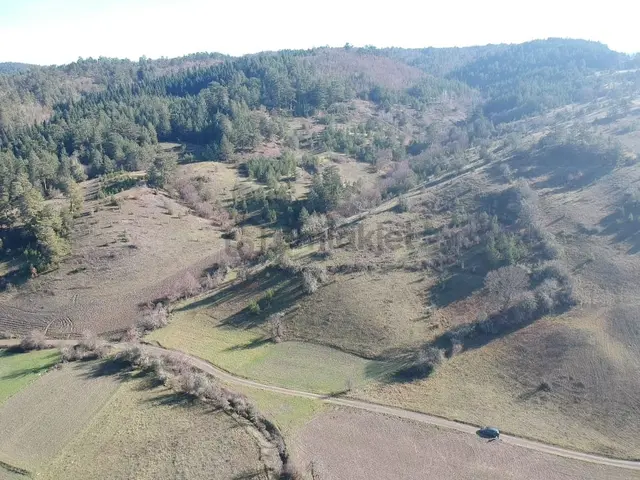 Kastamonu Azdavay Kayaoğlu Mah 5182 M2 Köy Manzalı Tarla 465 Bin Tl 3