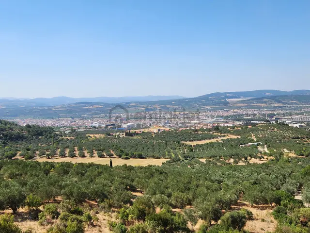 Manisa Soma Merkezde İmar Yakını 3988 M2 Tarla Soma Manzaralı 3