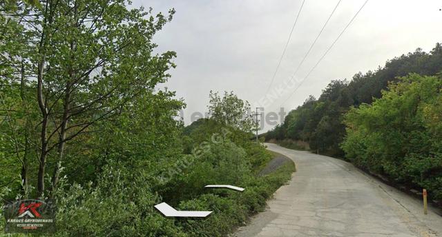 Güney Marmara Otobanına Yakın 30.772 M² Tarım Arazisi | Senaiye 1