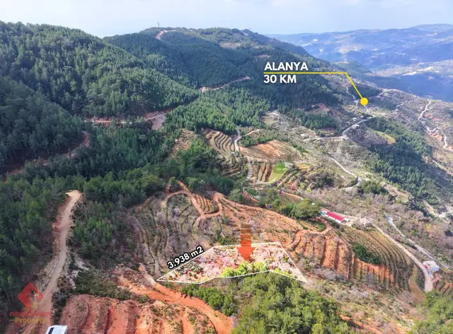 Alanya Türktaş'ta Doğa Manzaralı, 3.938 M² Satılık Tarla 3
