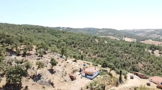 Manisa Gördes Köseler 26.300 M2 Köy İçi Tek Tapu Elektrik Su Var 1