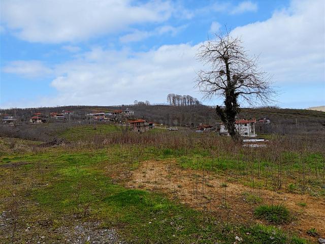 Sakarya Kocaali Kozluk 511 M2 Manzaralı Muhteşem Arsa 2