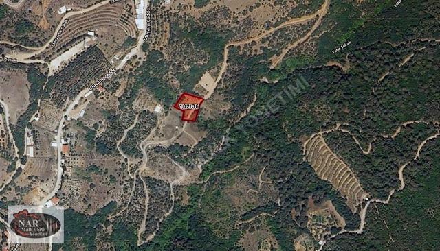Nar Yönetim'den Osmangazi Uluçam Mah. 2054 M2 Satılık Bahçe 4
