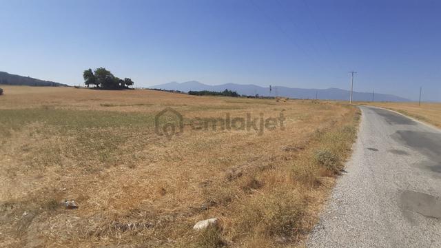 🌿 Dıdım Akköy Mahallesinde Göl Manzaralı Satılık Tarla 🌿 2