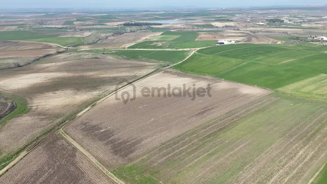 Ege Emlak'tan Beğendik Köyünde Köye Yakın Tarla 2