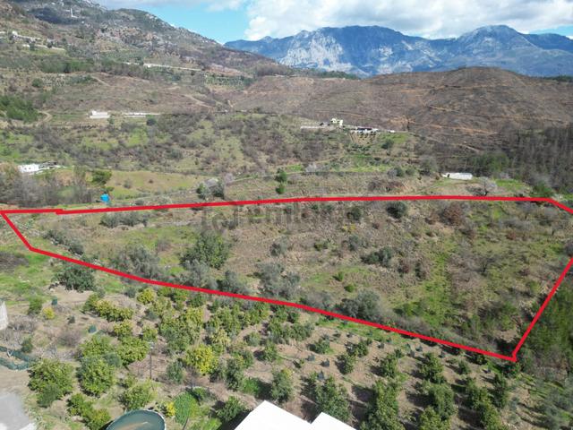 Alanya Şıhlar Mahallesi’nde Satılık 6.900 M² Yola Sıfır Tarla 4