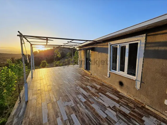 Remax Yeni'den Satılık Tek Tapu Asfalt Yol Kenarı Bağ & Bağ Evi 5