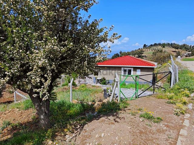 Remax Yeni'den Satılık Tek Tapu Asfalt Yol Kenarı Bağ & Bağ Evi 4