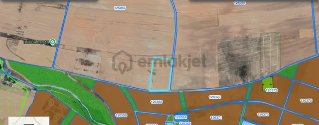Alaçatıdan Gökçehöyükte/tek Tapu/31.347 M2/kadastral Yola Cephe 1