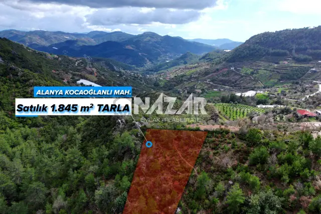 Alanya Kocaoğlanlı’da 1.845 M² Satılık Tarla 2