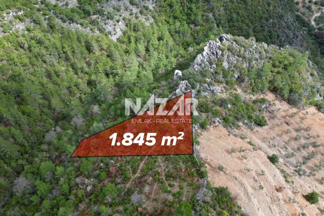 Alanya Kocaoğlanlı’da 1.845 M² Satılık Tarla 4