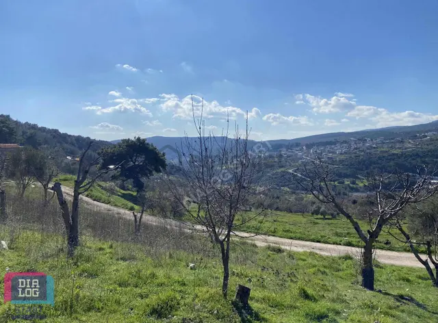 Karaçam'da Manisa Yoluna Yakın Tarla 5