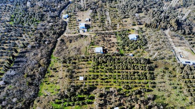 Edincikte Deniz Manzaralı 2.970 M² Satılık Bağ 3