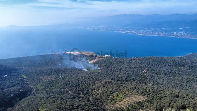 Edincik 1.970 M² Satılık Zeytinlik Yatırımlık Fırsat! 3