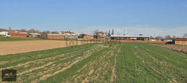 Yenişehir Çelebi'de Yerleşim Alanı Dibinde Satılık 5.289m² Tarla 3