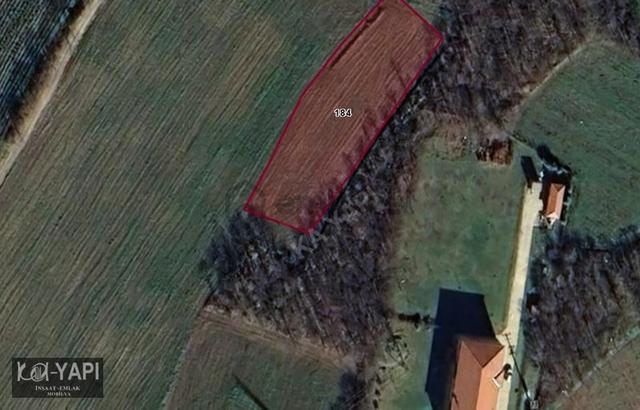 Yarış Köyünde Orman İçerisinde 2100 M2 Fırsat Bahçe 5