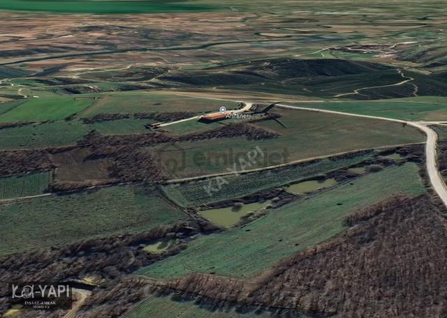 Yarış Köyünde Orman İçerisinde 2100 M2 Fırsat Bahçe 3