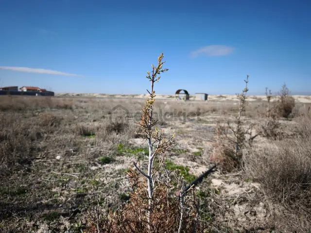 Satılık İki Kat Konut İmarlı Müstakil Arsa 3