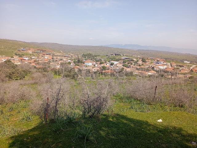 Elit Emlaktan Bergama Ferizlerde Yatırımlık Zeytinlik 3